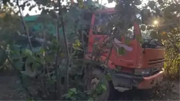 Yoldan Çıkan Kamyon Fındık Bahçesine Uçtu: 1 Ölü