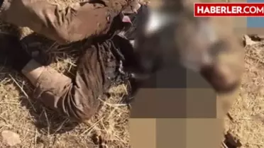 Mardin'deki Terör Operasyonu