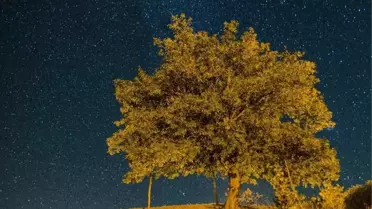 Ovacık'ta Yıldızların Dansı Göz Kamaştırdı