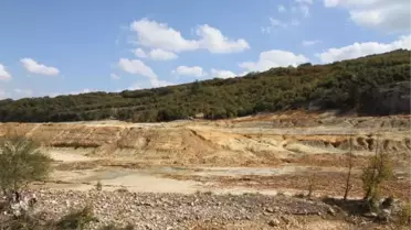 Balyalı Başkan'dan Fransızlar'a Dava Hazırlığı