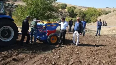 Tunceli'de Ayyıldız Buğdayı Ekimi Gerçekleştirildi