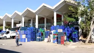 Rusya'ya Yaş Meyve Sebze İhracatında 100 Milyon Dolar Hedefi