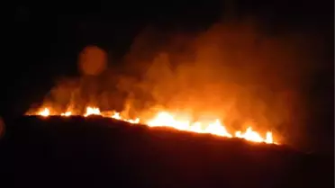 Mudanya'da Ro-Ro İskelesi Yapılacak Alandaki Orman Yangını Meclis'e Taşındı