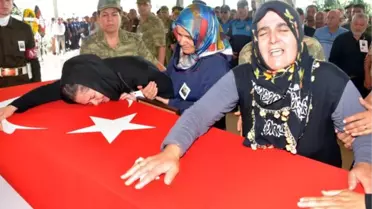 Şehit Eşi Tabuta Kapanıp, 'Aşkım Yuvam Dağıldı' Diye Ağladı