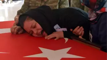 Şehit Eşinin Tabuta Kapanıp, 'Aşkım Yuvam Dağıldı' Diye Ağladı