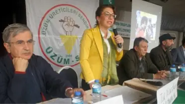 Üzüm Üreticilerinin Sorunları Forumda Ele Alındı