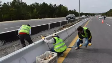 Turan Güneş'te Kaldırım ve Refüj Çalışması