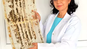 Arıcılara 'Ham Propolis Satmayın' Uyarısı