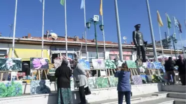Mihalıççık ve Çevre Köylerin Tıbbi Bitkilerinin Fotoğrafları Sergilendi