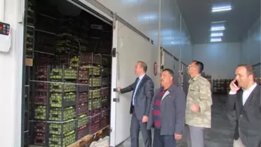Çamardı Kaymakamı Mustafa Serin Elma Hasadında İnceleme Yaptı