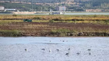 Beyşehir Gölü Kıyıları Kuraklık Nedeniyle Çekildi