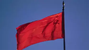 Sovyet İnternet Girişimi Neden Başarılı Olamadı?