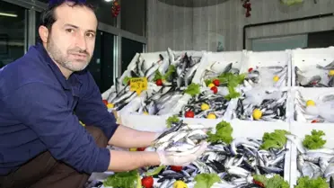 Giresunlu Balıkçılar Hamsiden Umutsuz