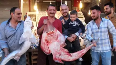 İnsan Yüzlü Balıklar Şaşırtıyor