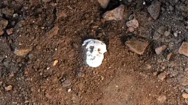 Ayvalık'taki Tarihi Ayazmanın Restorasyonuna Başlandı