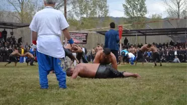 Kargı Güreşlerinde Recep Kara Başpehlivan
