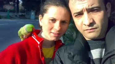 Eve Giren Hırsız Papağan Çaldı