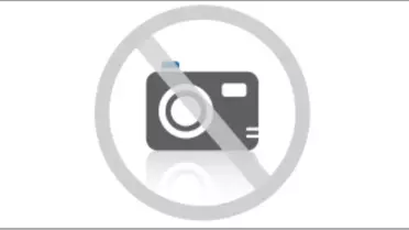 Fungistanbul - Phenology