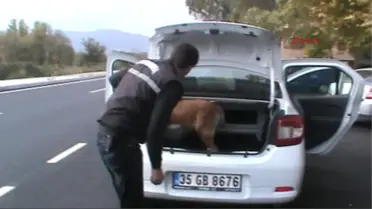 Köyceğiz Esrarla Yakalanan 4 Kişiye Gözaltı