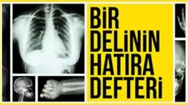 Bir Delinin Hatıra Defteri