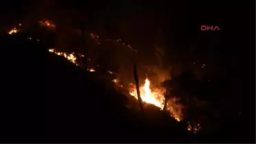 Tokat'ta Orman Yangını