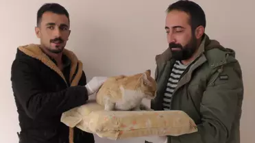 Yolda Bulduğu Ayağı Kırık Kediyi Veterinere Götürdü