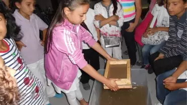 Yalova'dan Kısa Kısa