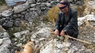 Görme Engelli Vatandaşın Rehber Köpeğini Öldürdüler