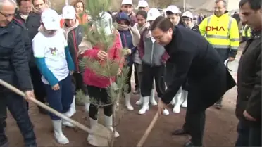 Öğrenciler Kesilen Ağaçların Yerine Karaçam Fidanı Dikti