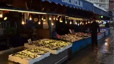 Hamside Umut 'Azak Hamsisi'