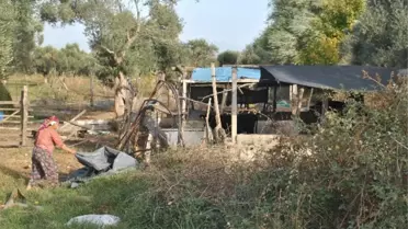 Aydın'da Yazlıklardan Kışlıklara Dönüş Başladı