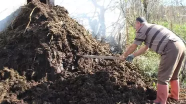 Kimyasal Gübre Yerine 'Çiftlik Gübresi'
