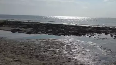 Marmaraereğlisi'nde Deniz 10 Metre Çekildi