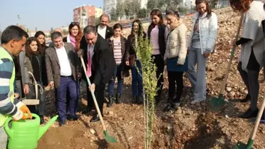 Buca'dan Öğretmenlere 3 Bin 942 Fidan