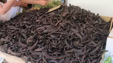 Keçiboynuzunun Faydaları Nelerdir?