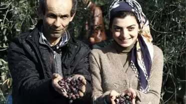 Dünya Zeytin Günü'ne Prim Desteği Damgasını Vurdu