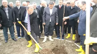 Devrek'te Örnek Kapama Ceviz Bahçesi