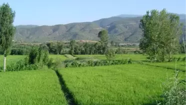 İlçenin İmarına 'Çeltik' Katkısı