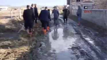 Balıkesir Tzob Başkanı Bayraktar Selin Vurduğu Ayvalık'ta