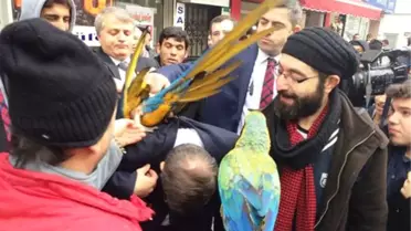 Dha Yurt Bülteni-11