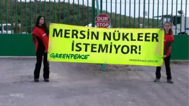 Akkuyu'da Keşif Yenilendi