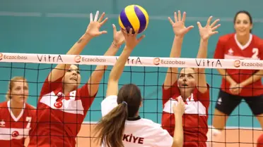 Voleybol: Avrupa Kupaları