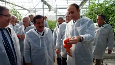 Vali Erin Kırsal Kalkınma Yatırımlarını İnceledi