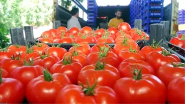 Antalya Çiftçisi Rusya'dan Gelecek İyi Haberi Bekliyor