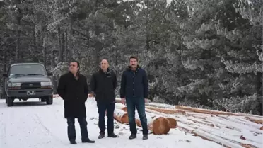 Kütahya Orman Bölge Müdürü Adnan Kayım, Gediz Ormanlarını İnceledi