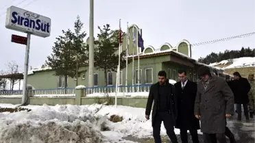 Vali Memiş, Katkısız Yoğurt ve Peynir Üretimini İnceledi