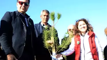 Ada Uz'un Anısına Fidan Diktiler