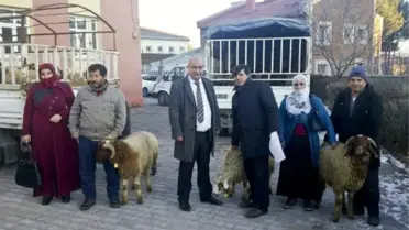 Genç Bayan Çiftçilere Küçükbaş Hayvan Desteği