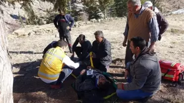 Karaman'da Ağaçtan Düşen Kişi Helikopterle Kurtarıldı
