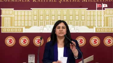 Gözaltına Alınan HDP Diyarbakır Milletvekili Çağlar Demirel Kimdir?